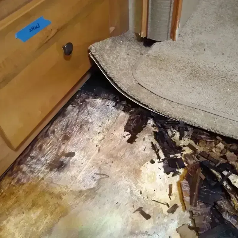 Wood Floor Water Damage in Vinton, TX